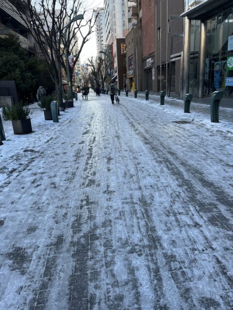 自然なスケートリンク